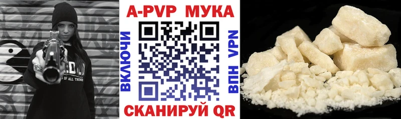 A PVP СК Бийск