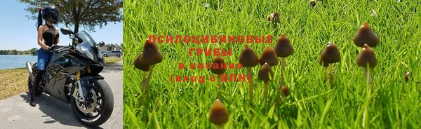 прущая мука Волосово