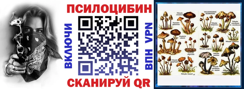 Галлюциногенные грибы Magic Shrooms  Бийск 
